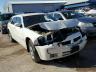 DODGE - MAGNUM