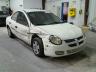 DODGE - NEON