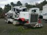 PETERBILT - ALL MODELS