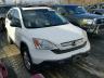 HONDA - CRV