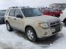 FORD - ESCAPE XLT