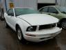 FORD - MUSTANG
