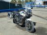 TRIUMPH - TIGER
