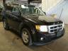 FORD - ESCAPE XLT