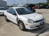 DODGE - NEON