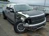 FORD - F150 SVT R