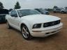 FORD - MUSTANG