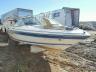 SEARAY - MARINE LOT