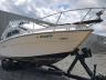 SEARAY - BOAT
