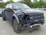 FORD - F150 SVT R