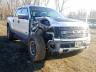 FORD - F150 SVT R