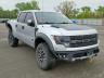 FORD - F150 SVT R