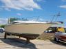 SEARAY - BOAT