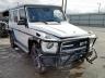MERCEDES-BENZ - AMG