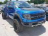 FORD - F150 SVT R