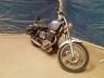 SUZUKI - LS650 P