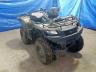 SUZUKI - ATV