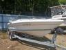 SEARAY - BOAT