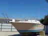 BAYLINER - TROPHY
