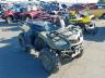 SUZUKI - ATV