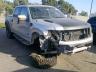 FORD - F150 SVT R