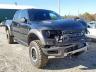 FORD - F150 SVT R