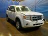 FORD - ESCAPE XLS