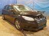 FORD - FOCUS SE