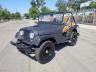JEEP - CJ
