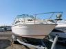 SEARAY - BOAT