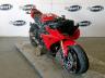 TRIUMPH - DAYTONA