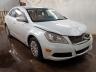 SUZUKI - KIZASHI S