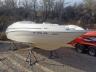 SEARAY - BOAT