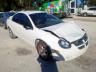 DODGE - NEON