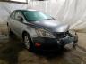 SUZUKI - KIZASHI S