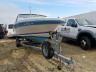 SEARAY - 20 CUDDY C