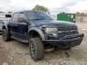 FORD - F150 SVT R
