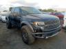 FORD - F150 SVT R