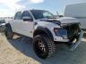 FORD - F150 SVT R