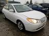 HYUNDAI - ELANTRA