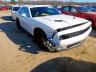 DODGE - CHALLENGER