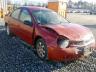 DODGE - NEON