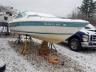 SEARAY - BOAT