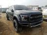FORD - F150 RAPTOR