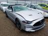 FORD - MUSTANG GT