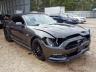 FORD - MUSTANG GT