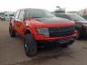 FORD - F150 SVT R