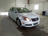 SUZUKI - KIZASHI S