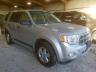 FORD - ESCAPE XLT