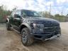 FORD - F150 SVT R